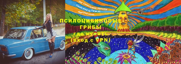 стафф Беломорск