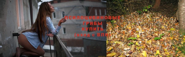 стафф Беломорск