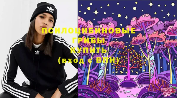 Альфа ПВП Белокуриха
