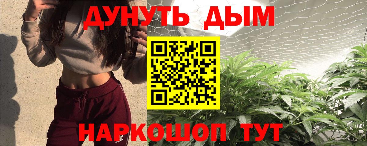 Бошки Шишки планчик  Шишки марихуана SATIVA & INDICA  Вход с VPN  Бошки Шишки гибрид  Каннабис тримм  Обь 